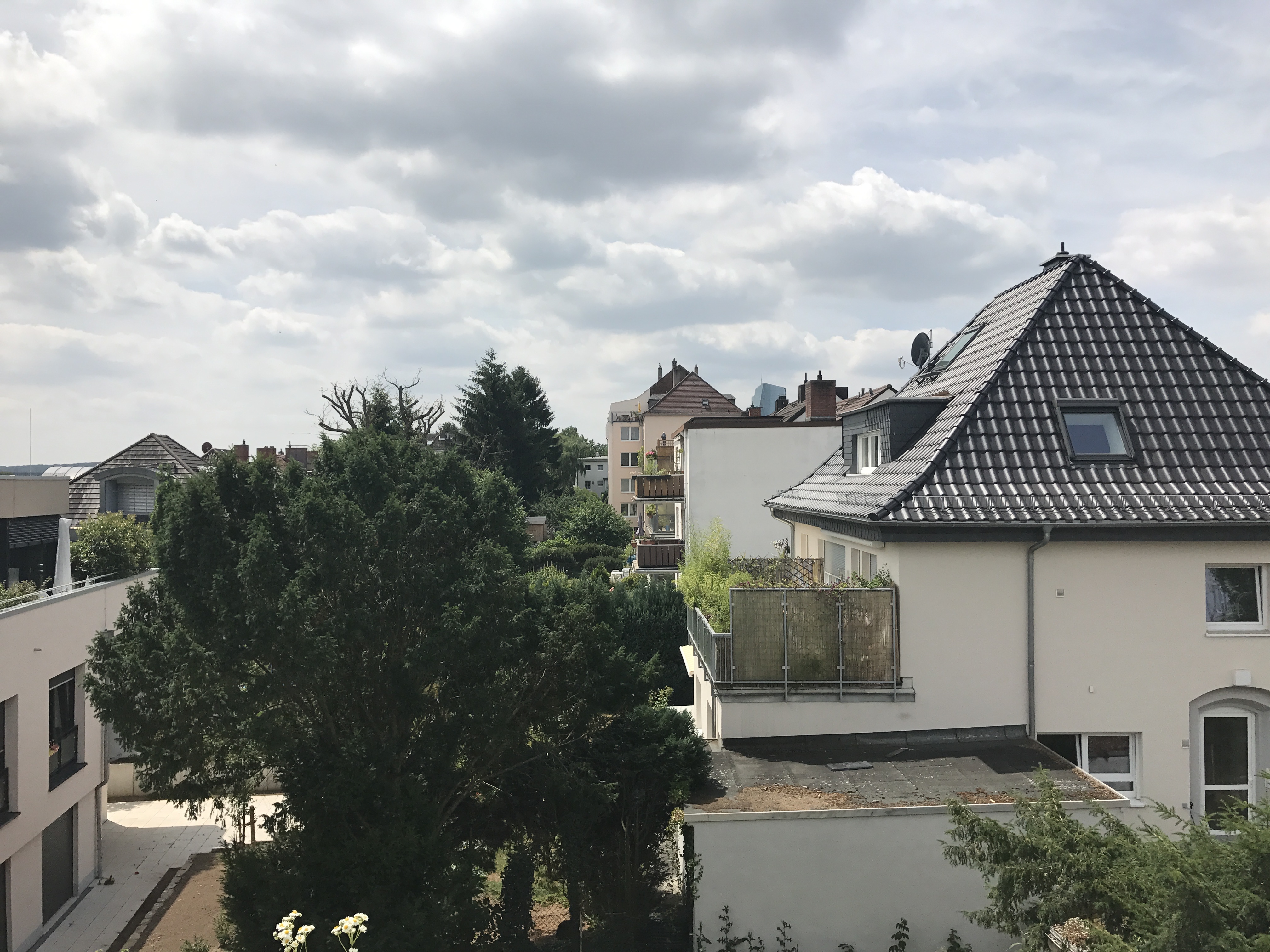 Ausblick