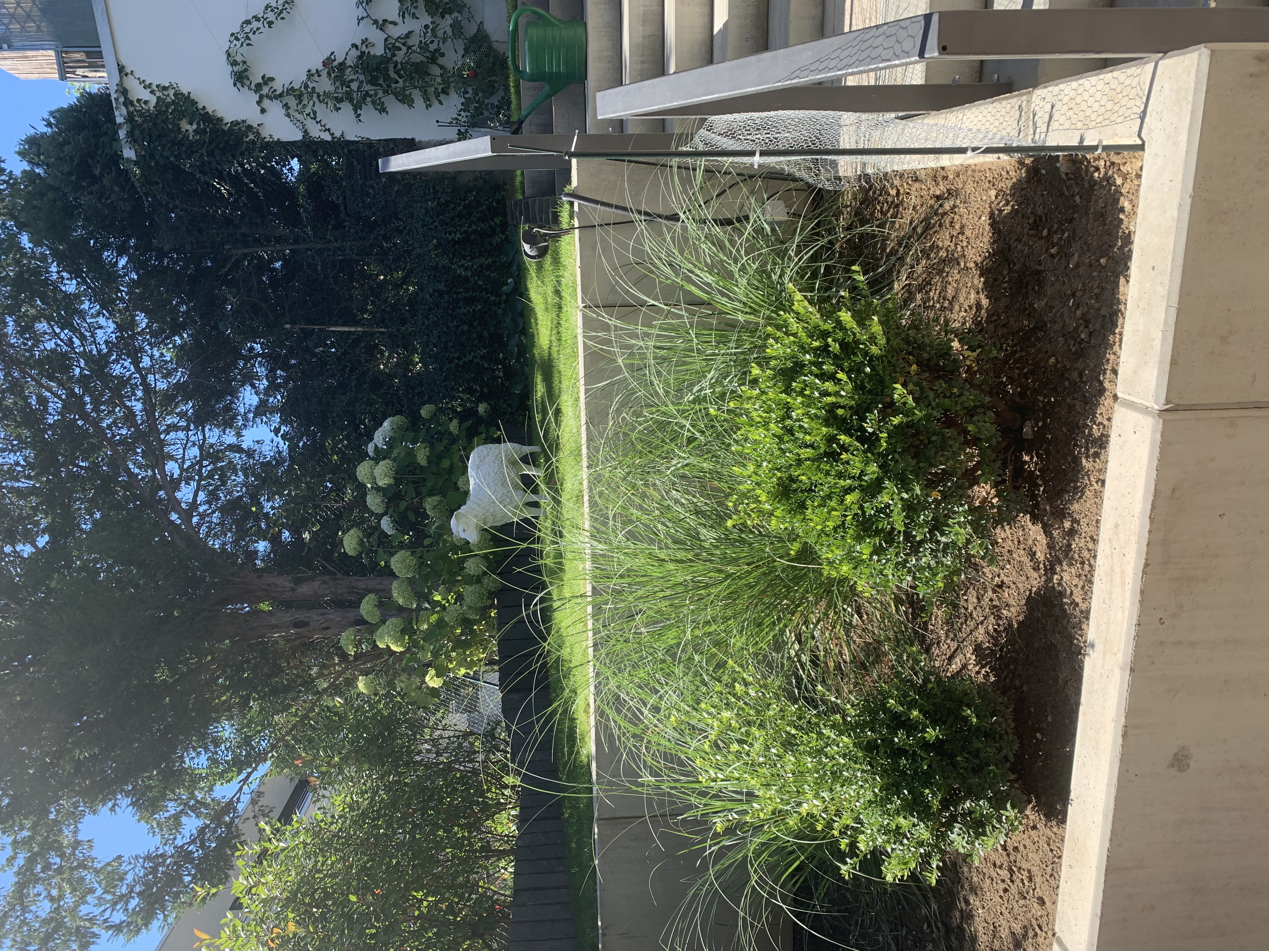 Garten Südwest